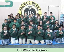 Tin Whistle Players